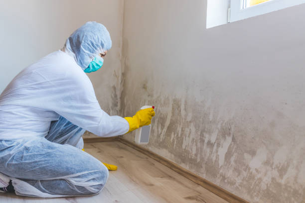 Crawl Space Mold Remediation treatment of floor joists in Stanwood